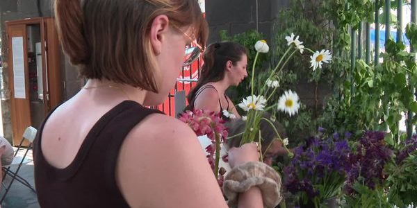 647c5926b8a3d_363-2565-00-00-13-06